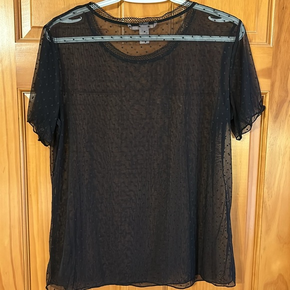 Victoria’s Secret Sheer Black Tee - Picture 4 of 5